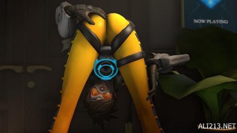 分析显示 分析显示