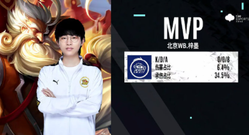 的足球世界 的足球世界