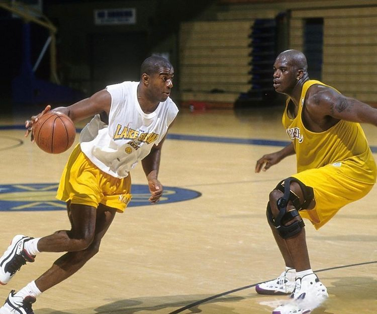 的冉冉新星 的冉冉新星