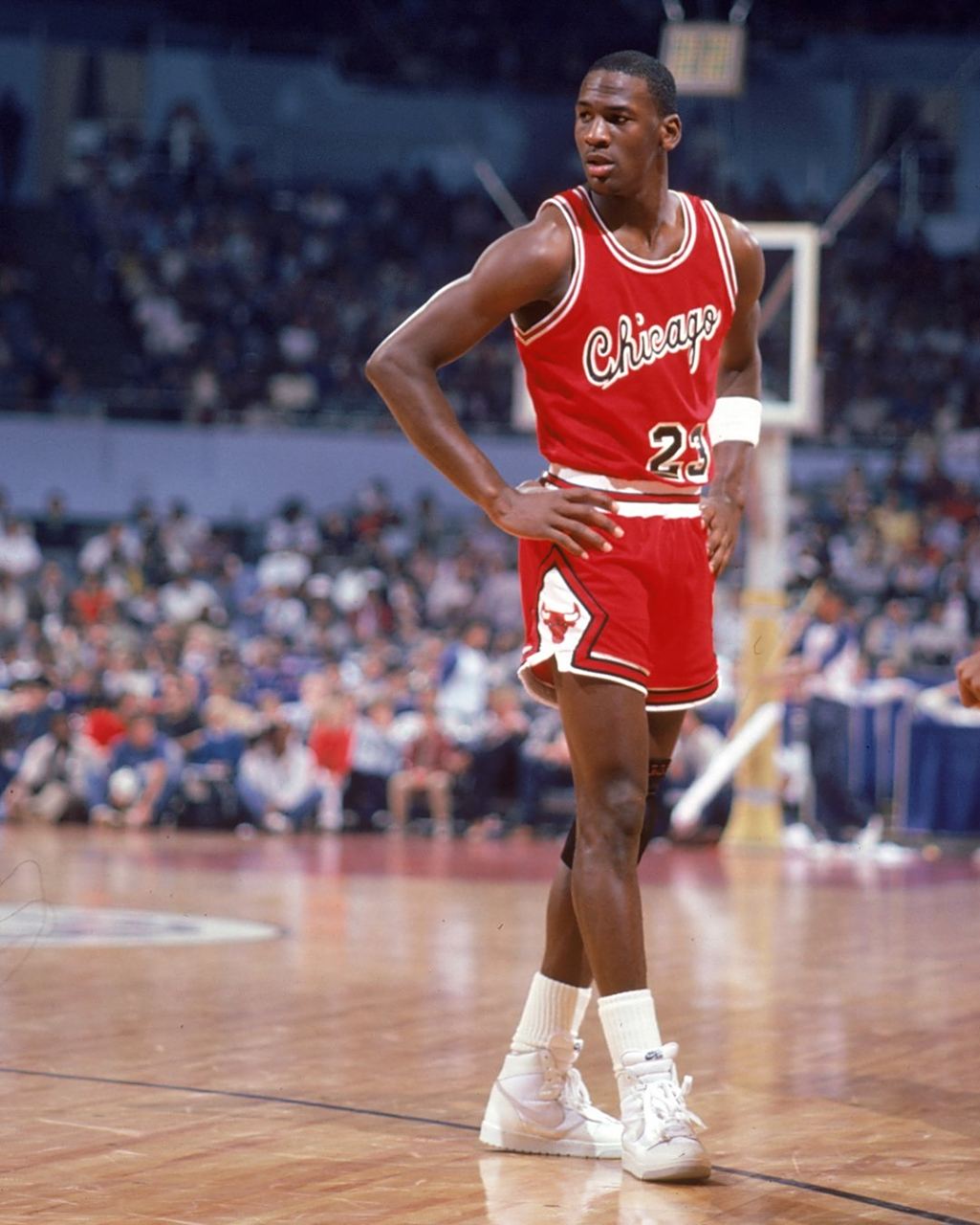 但并未执拗 但并未执拗